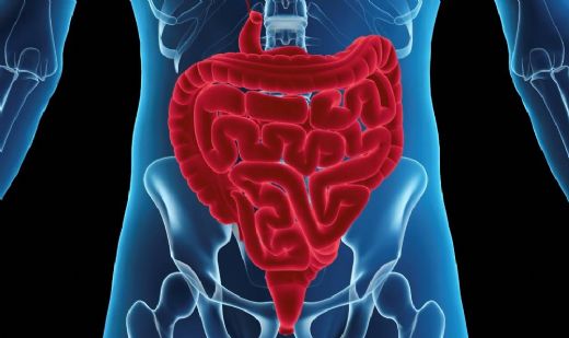 İrritabl Barsak Sendromu Belirtileri ve Tedavisi
