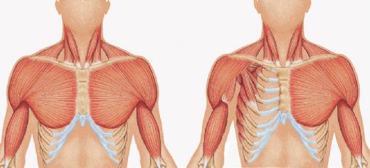 Poland Sendromu Belirtileri ve Tedavisi